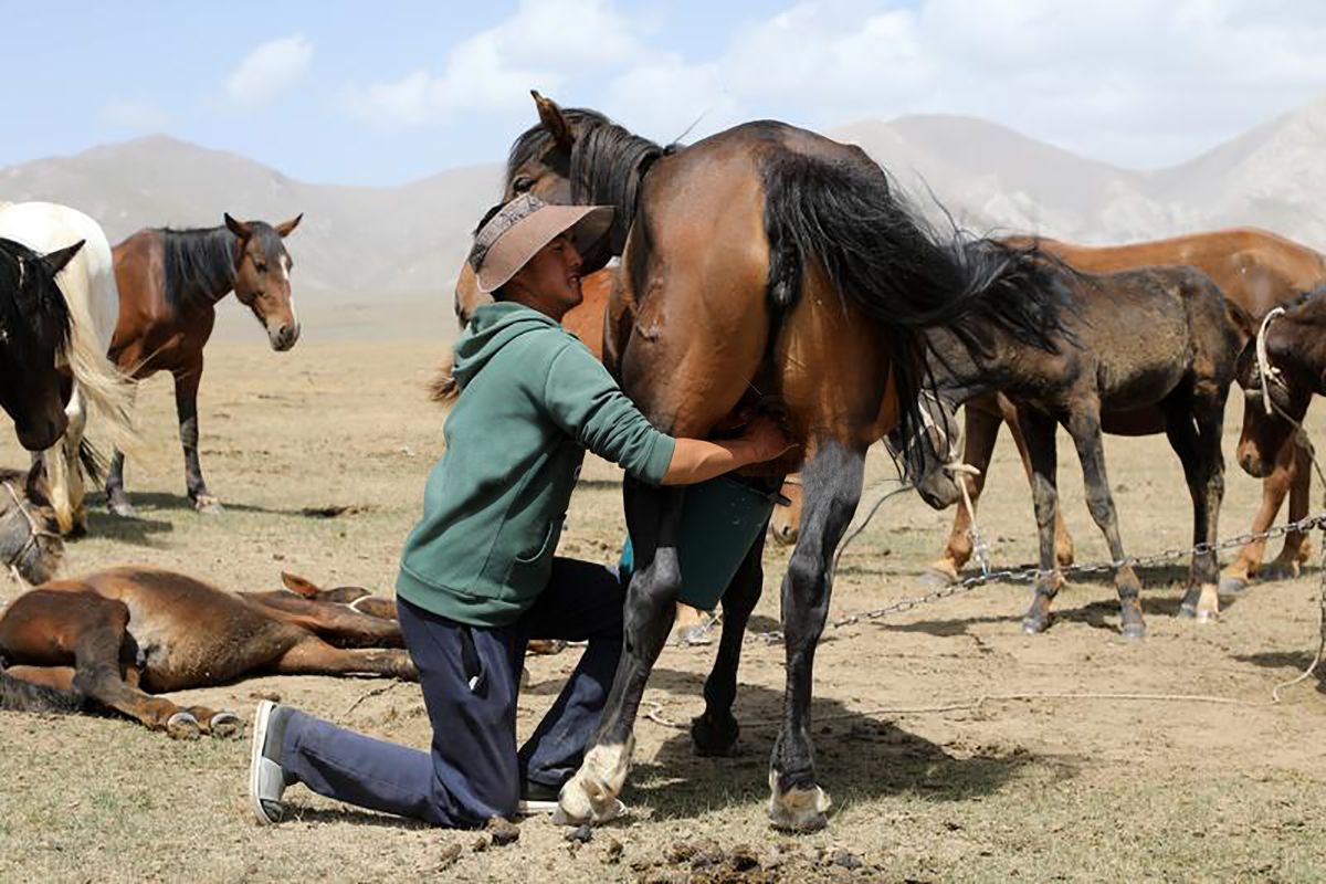 Диханкөл ауылының саумалы